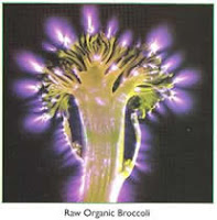 The aura of raw broccoli