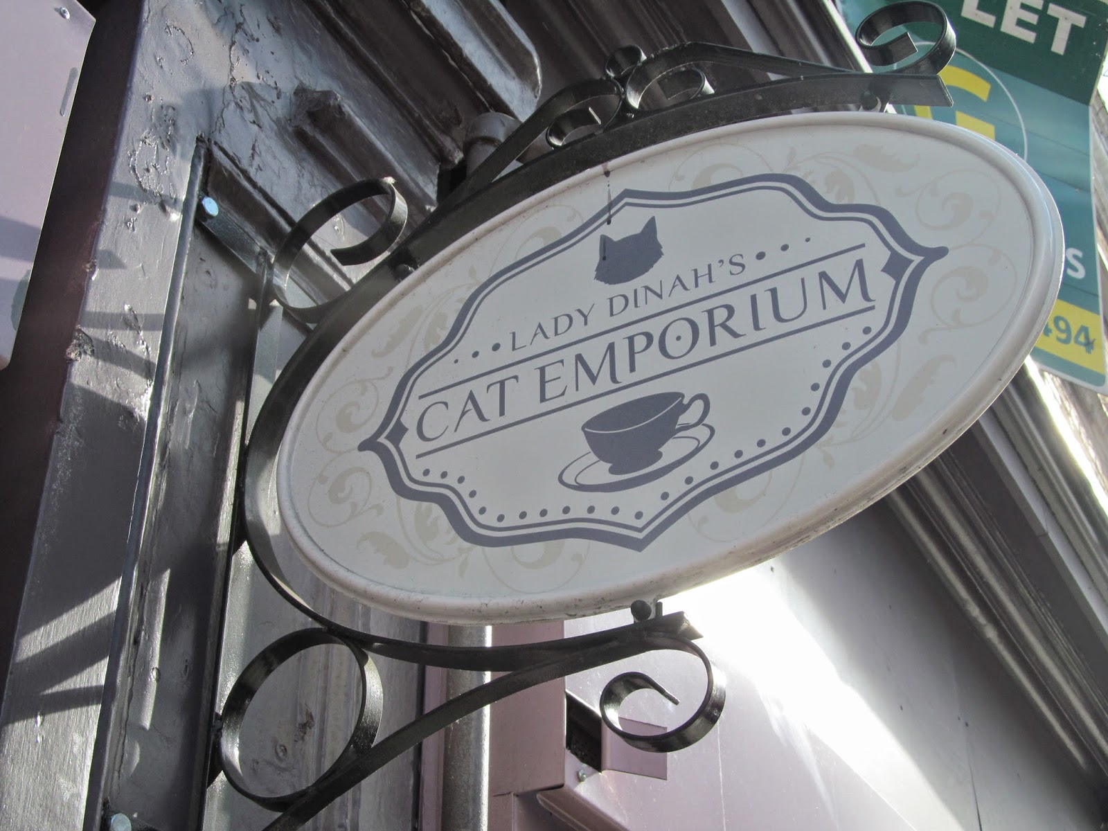 Lady Dinah S Cat Emporium Charlie Distracted
