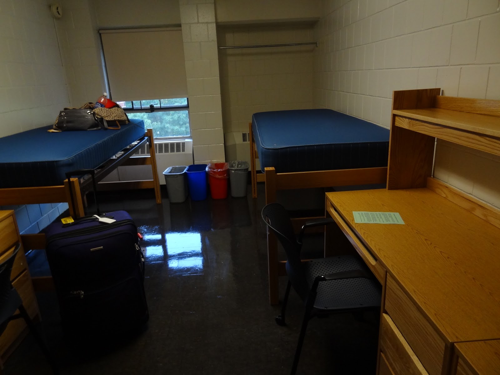 Lucy's Travels 20112012 Arrival at UMASS!!!!!