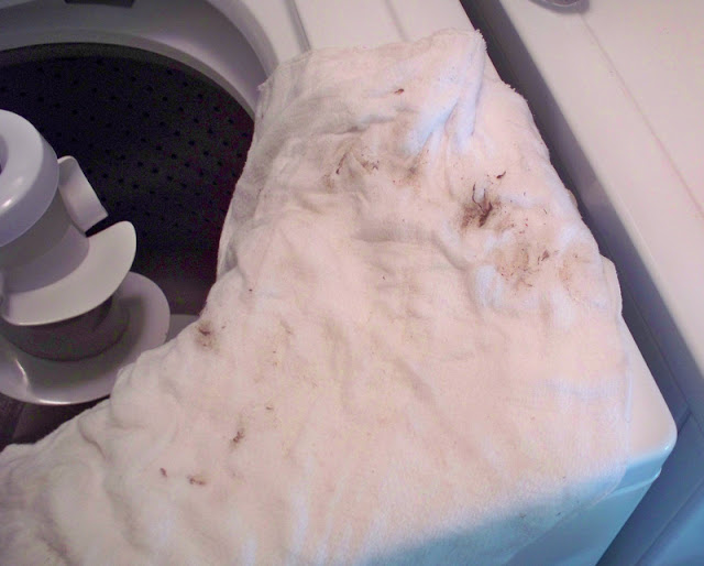 How to Clean a Washing Machine Without Bleach » By Hilary Jordan