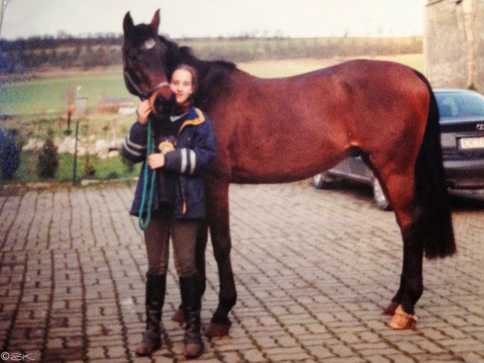 Ausstellung Page 13 Pirckheimer Gesellschaft