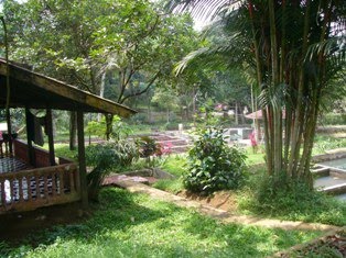 42+ Villa Sawah Resort Ciawi Pics