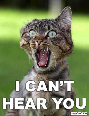 funny pictures funny pictures