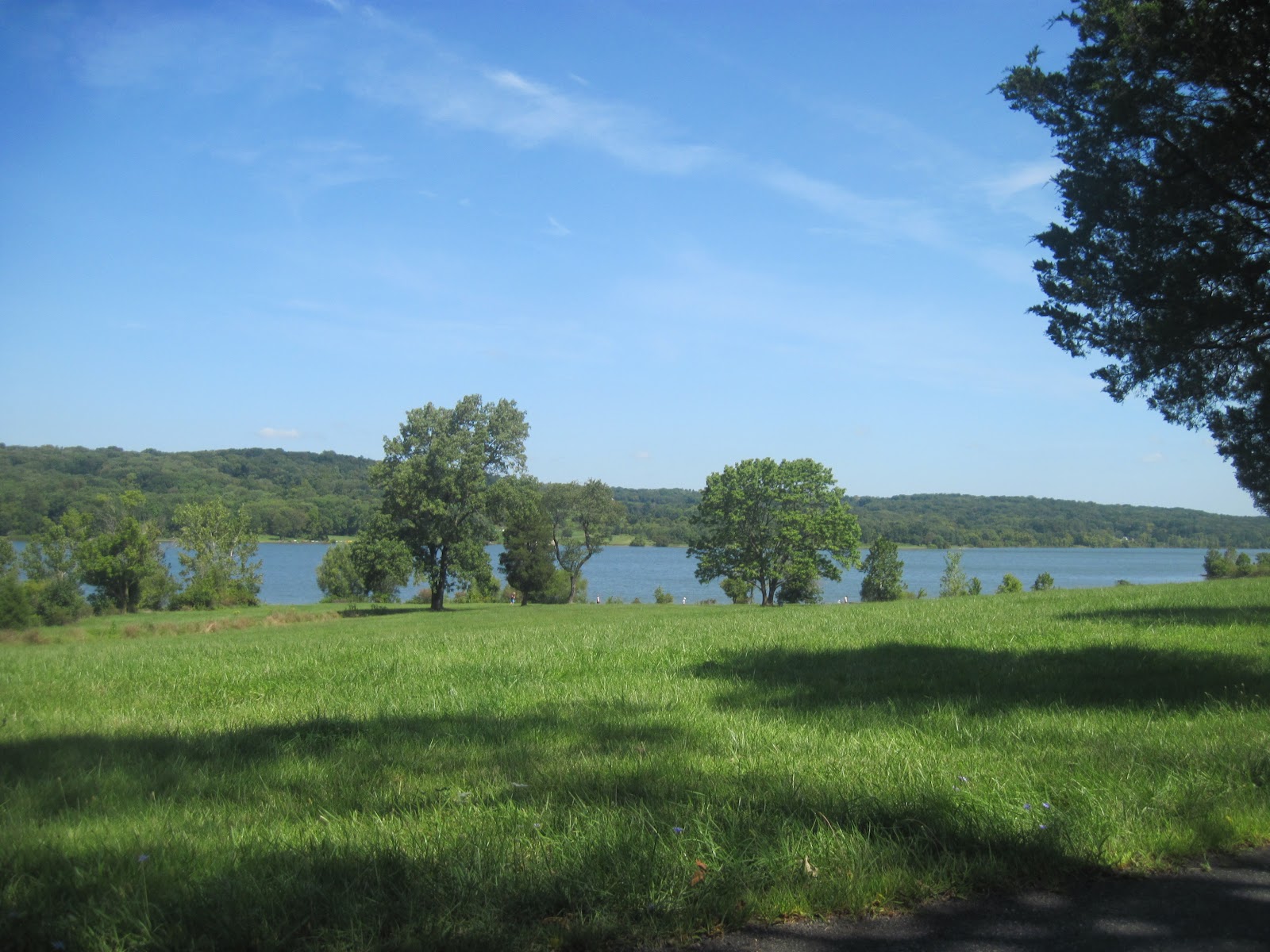 The Belle of Cowbell The Bipolar Therapist from Willow Grove, PA A