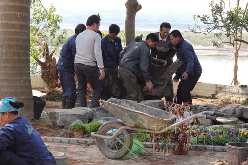 Thi công hồ cá Koi, làm hồ cá Koi, thiết kế hồ cá Koi Thi công hồ cá Koi, làm hồ cá Koi, thiết kế hồ cá Koi