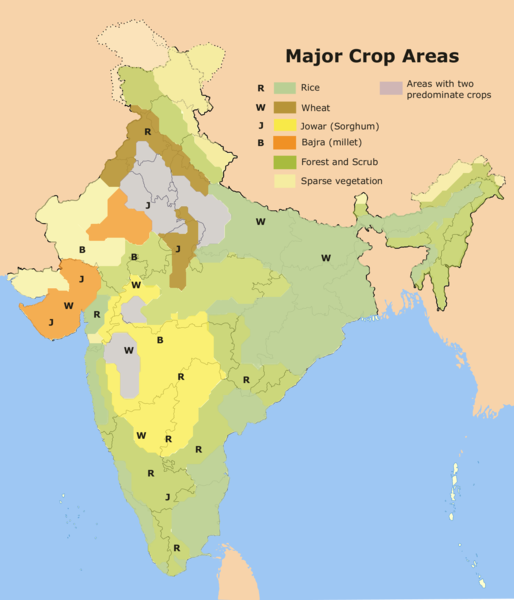 What is a major agricultural problem facing India?