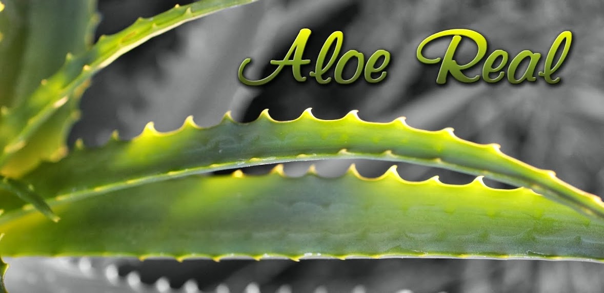 Aloe Real