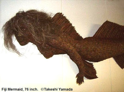 Fiji Mermaid by Takeshi Yamada