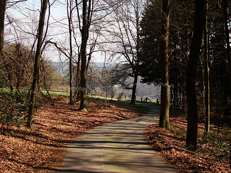 Ein Besuch Im Neuen Liederkranz Burgerportal Bergisch Gladbach