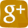 Google+