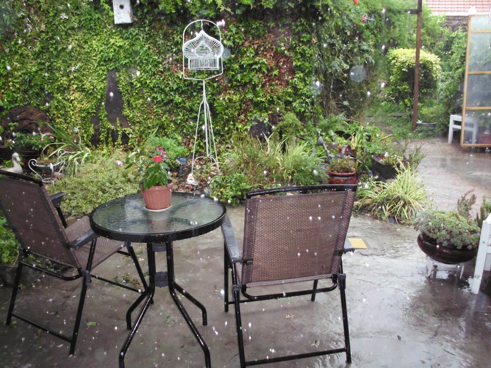 ..y la lluvia llegó