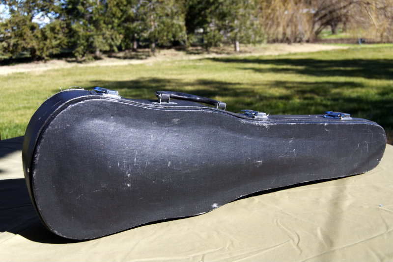unschool plus violin case to ukulele case
