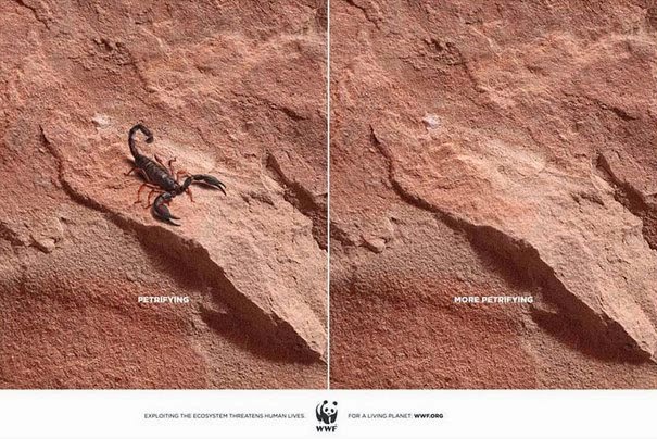 dinfo.gr - 33 δυνατές διαφημιστικές καμπάνιες για τα ζώα που λένε την άσχημη αλήθεια