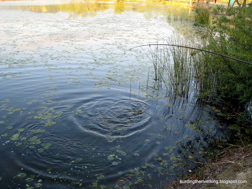 Fisherman's Retreat Bass Fishing Blast in Redlands Hunting the River King