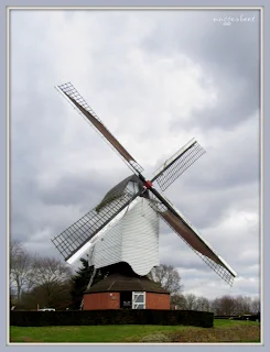 molen van Tessenderlo