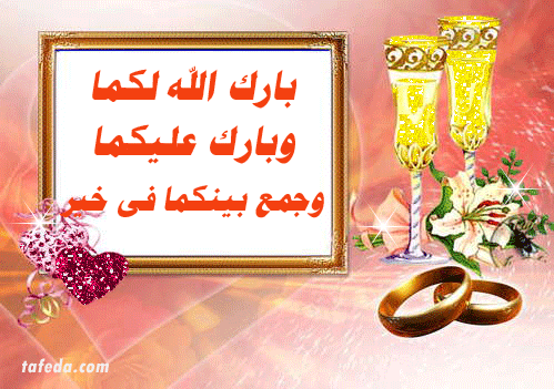 mohamed abd el kader خطوبة سعيدة curriculum vitar