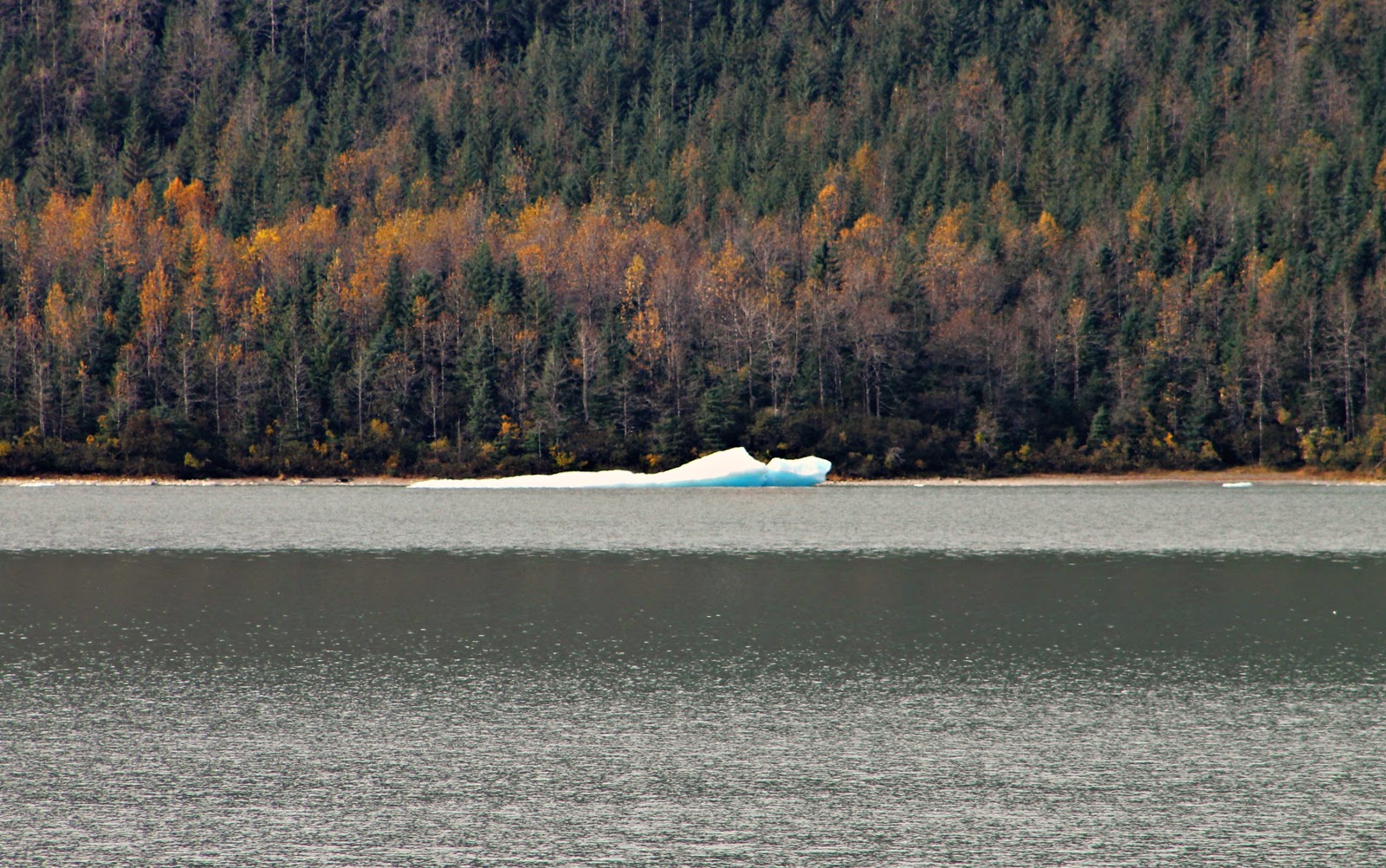 SANDRA'S ALASKA PHOTOGRAPHY Early October 2012 Incredible Autumn in