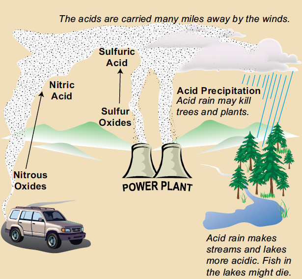 Mr. Gantt's Earth Science Lab Blog 5th GradeWeek 3 Water Cycle