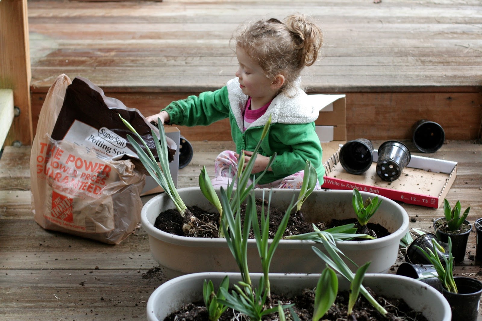 Learning about Spring Bulbs