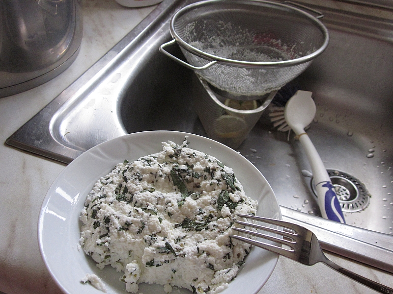 OĞLAK KIZLARI Taze fesleğen ve kekikli ev yapımı peynir.