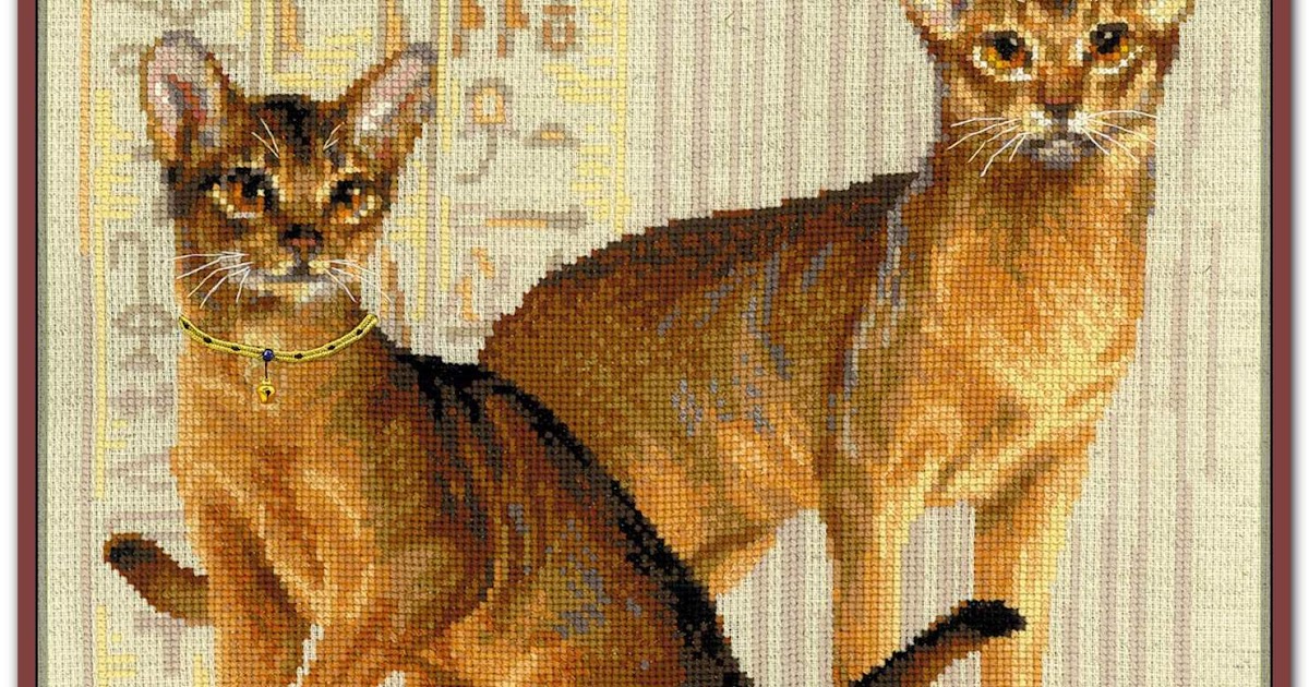 Абиссинская кошка вышивка Абиссинская кошка вышивка