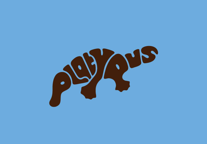 Platypus Website Design Platypus Website Design