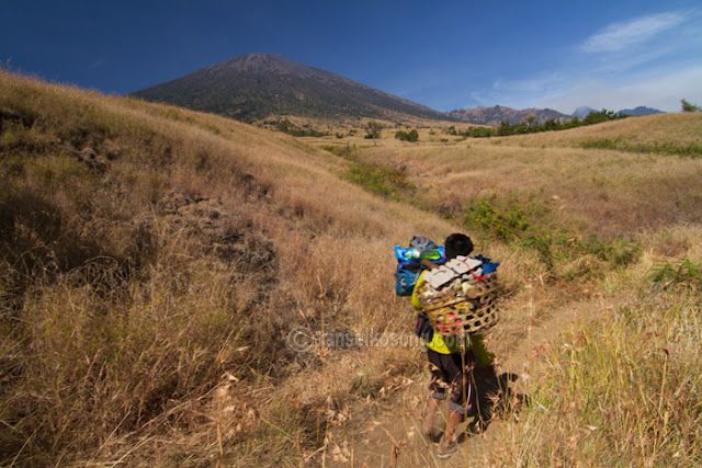 Porter di Gunung Rinjani melewati padang sabana. Gunung Rinjani teletak di Pulau Lombok Nusa Tenggara Barat Mount Rinjani; Gunung Rinjani; Volcano; Treking to Rinjani; Rinjani Photos; Segara Anak Lake; Danau Segara Anak; Sasak Tribe; Mendaki Gunung Rinjani; Lombok; Nusa Tenggara; Rinjani Base Camp; Taman Nasional Gunung Rinjani; Mount Rinjani National Park; Sembalun Trek; Senaru Trek; Rinjani Trek Management Board; Porter Rinjani; Jalur Senaru; Jalur Sembalun; Treking to Rinjani; Hike to Rinjani; Pemandangan Rinjani; foto Rinjani; Jalur Pendakian Gunung Rinjani; Savana; Cemara; Gunung Api; Volcano; Rute pendakian rinjani; Puncak Rinjani; Vegetasi Rinjani; Nusa Tenggara Barat; Titik Tertinggi; Lombok Guide; Guide to Hike Rinjani; Puncak Anjani; Dewi Anjani; Plawangan Sembalun; Plawangan Senaru; Tengengean; Forest; Lake; Hutan; Hill; Bukit; Camp Site; Fishing; Memancing; Landscape Rinjani; Stone; Batu; Indonesia Volcano; Place to Visit In Indonesia; Mataram; Mountain Photos; Volcanoes Photo; Indonesia Photography; Travel Photography; Best Indonesia Photos