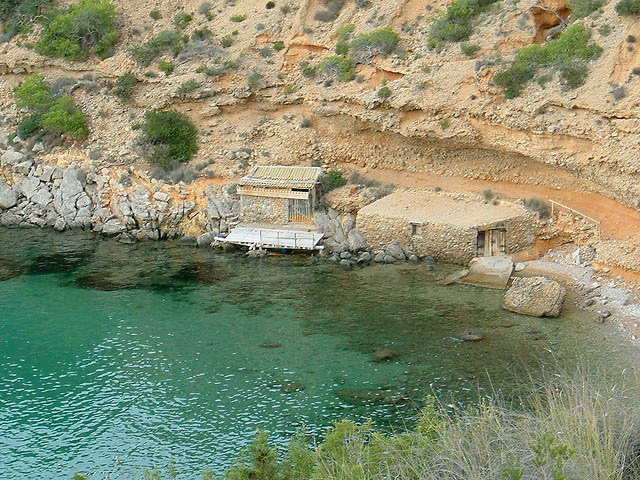 Biodiversity and Culture Desktop Wallpapers