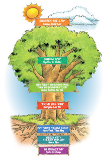 The 7 Habits http://www.theleaderinme.org/uploads/images/what/7htree.jpg