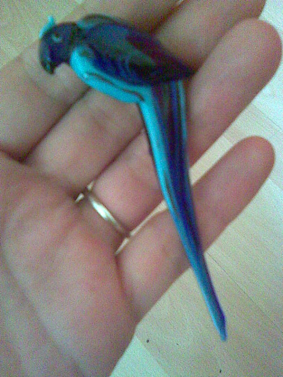 Sold, brooch-blue parrot