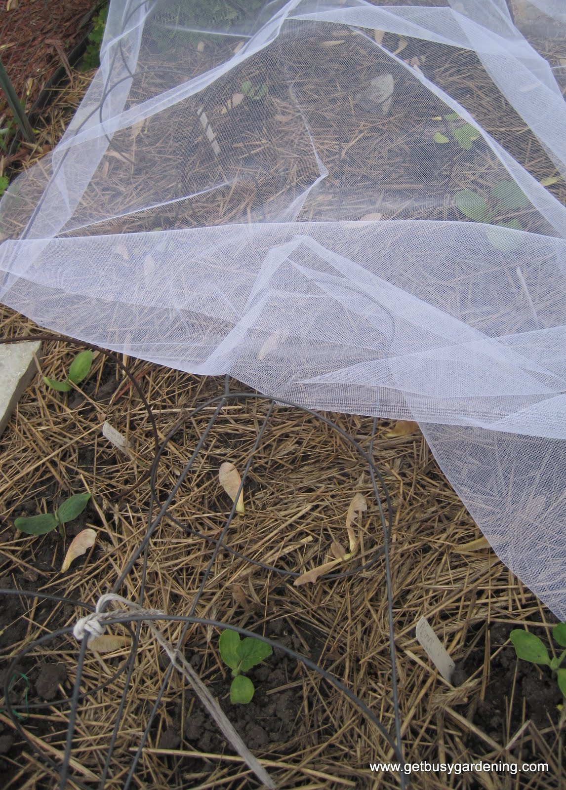 301 Moved Permanently