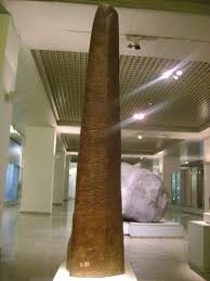 My Blog Kerajaan Sriwijaya