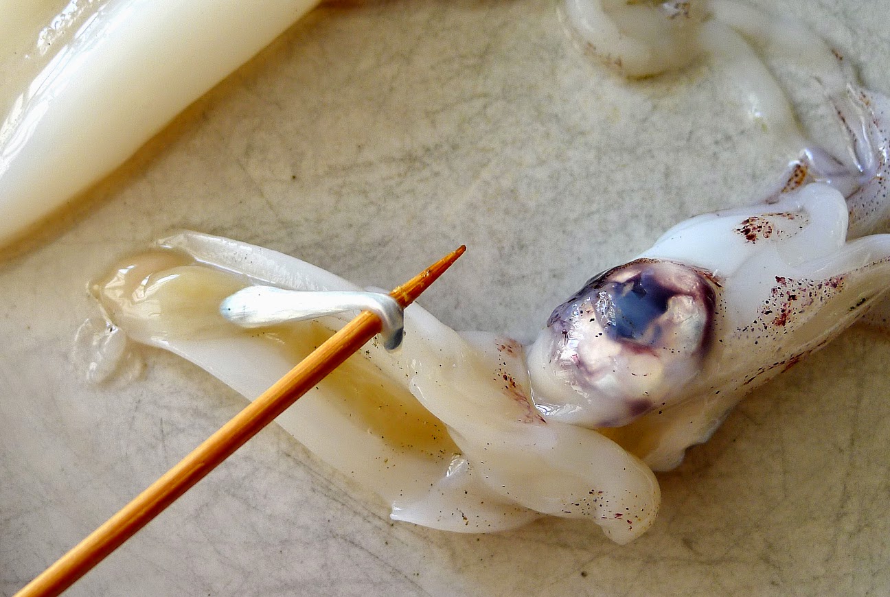 MY KITCHEN IN SPAIN THE TENTACLE ADVENTURE CONTINUES