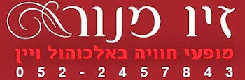 ברוכים הבאים לבלוג של זיו מנור