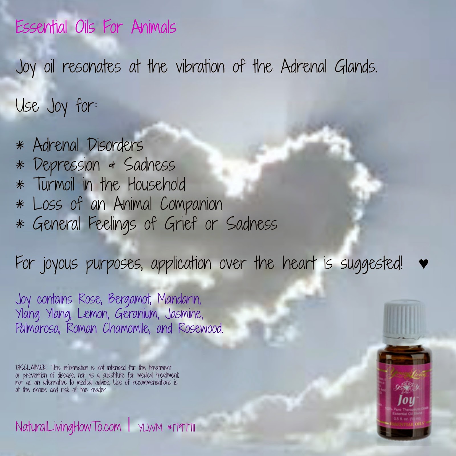 Healing Oils For Animals The Benefits of Essential Oils for Animals Joy