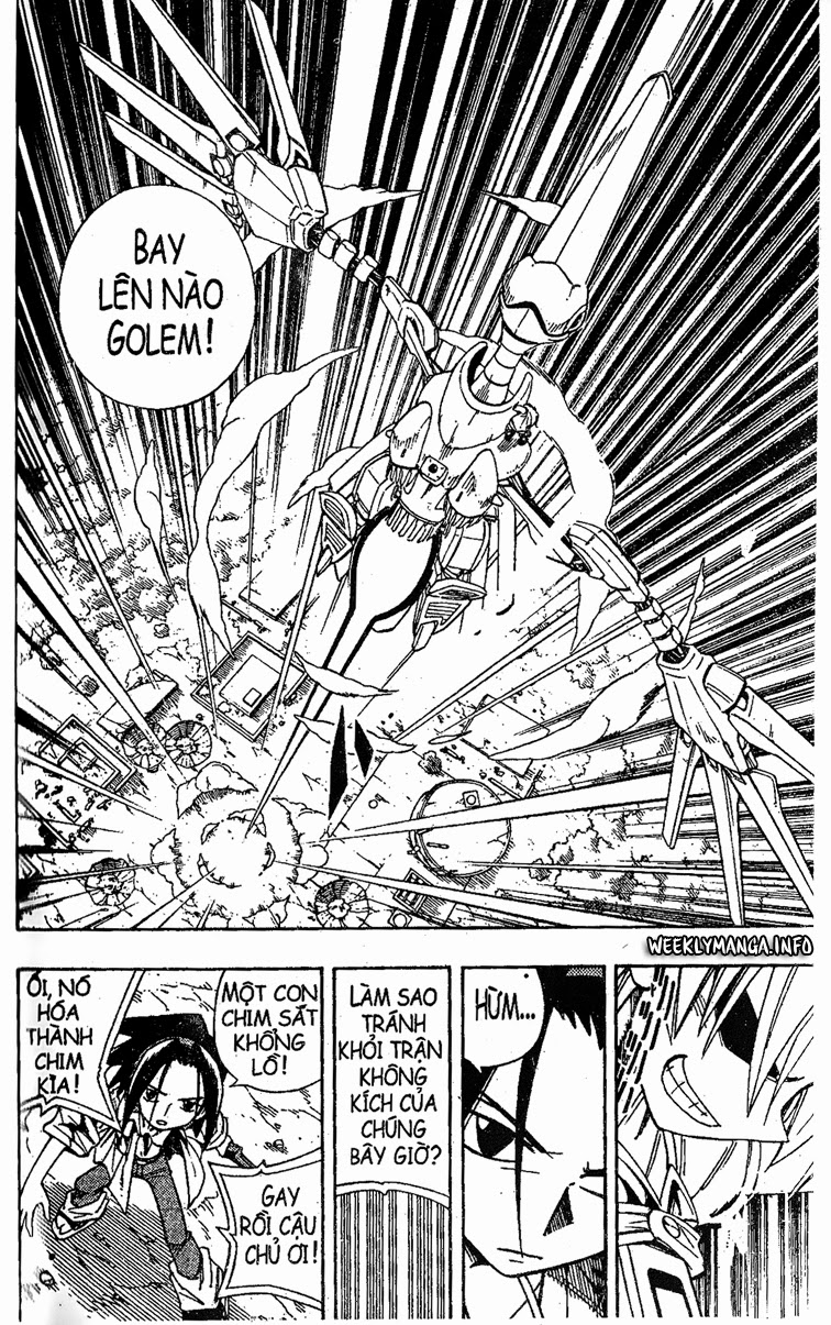 Shaman King [Vua pháp thuật]