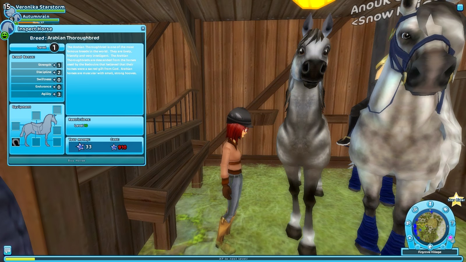 Star Stable Online Etc January 2014