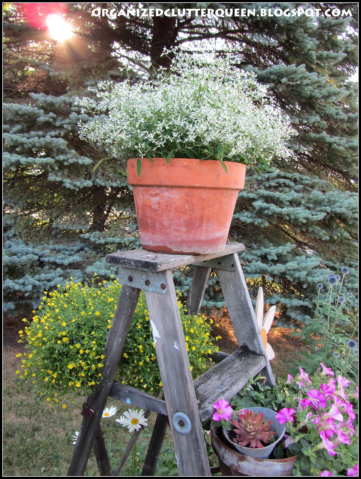 The Front Yard Flower Border | Organized Clutter