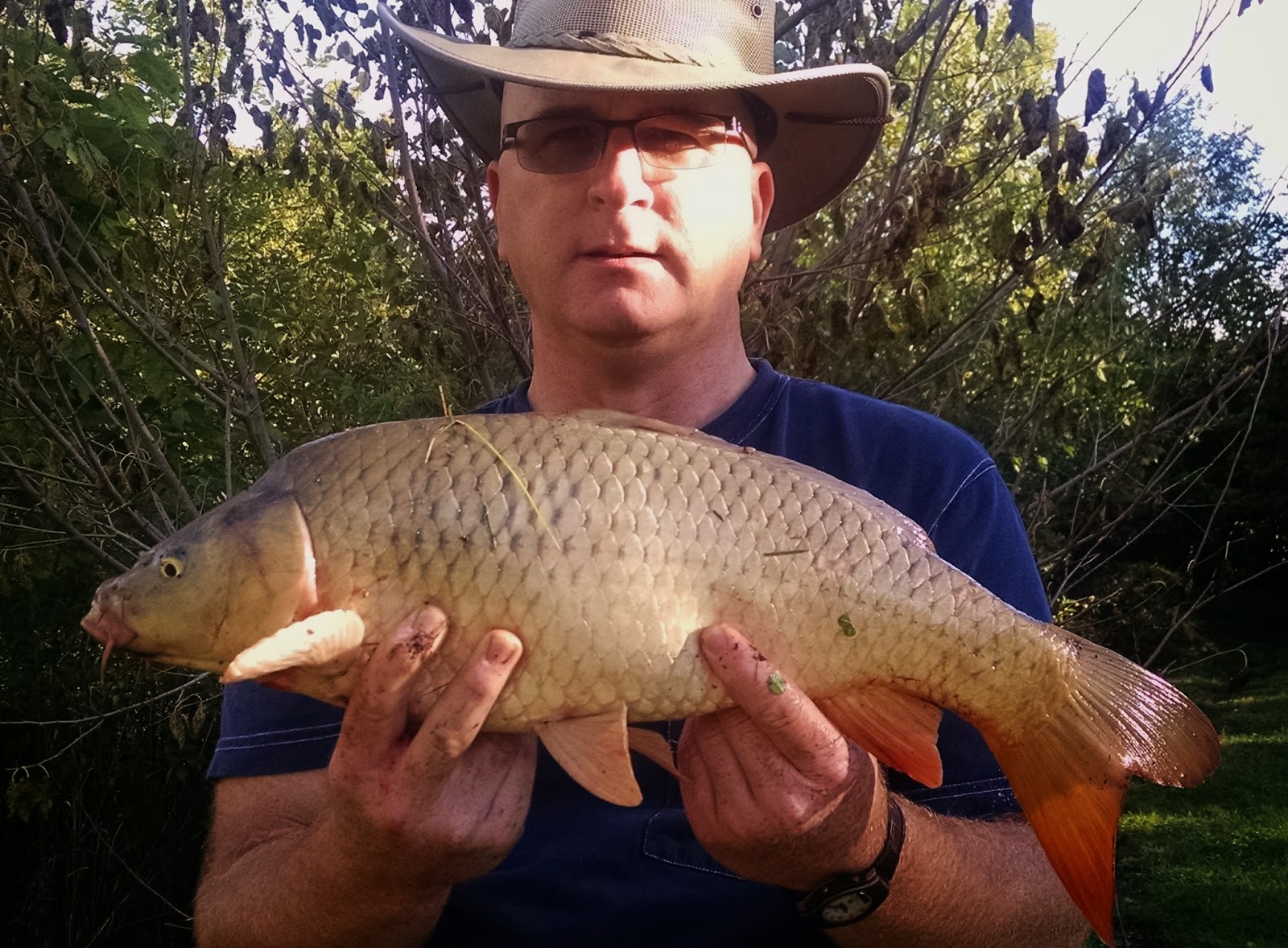 Michigan Carp Fishing Blog Catching Carp, River Rouge Michigan