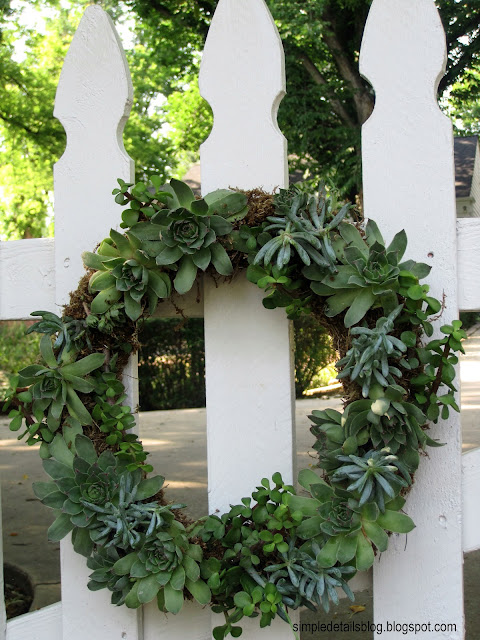 diy succulent wreath