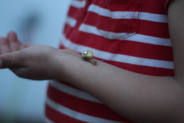 Mademoiselle L Amour Verlangender Durst