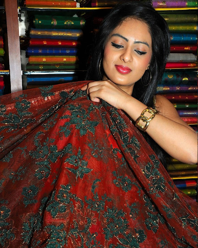 Nikesha Patel in Cool Saree wallpapers