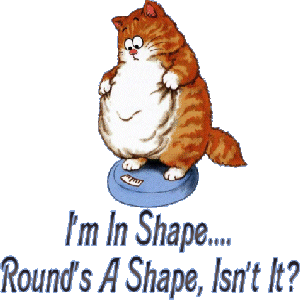 fat cat joke