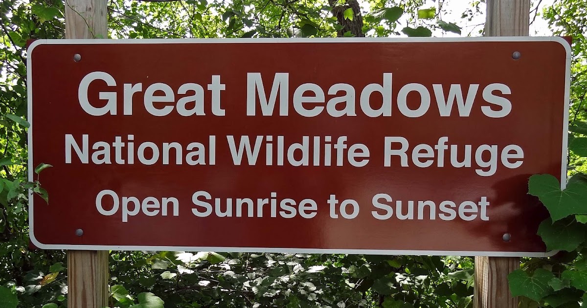 Joe's Retirement Blog Great Meadows National Wildlife Refuge (NWR