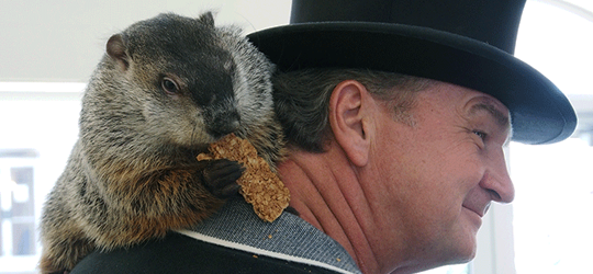 El Día de la Marmota - Cine de Escritor El Día de la Marmota - Cine de Escritor