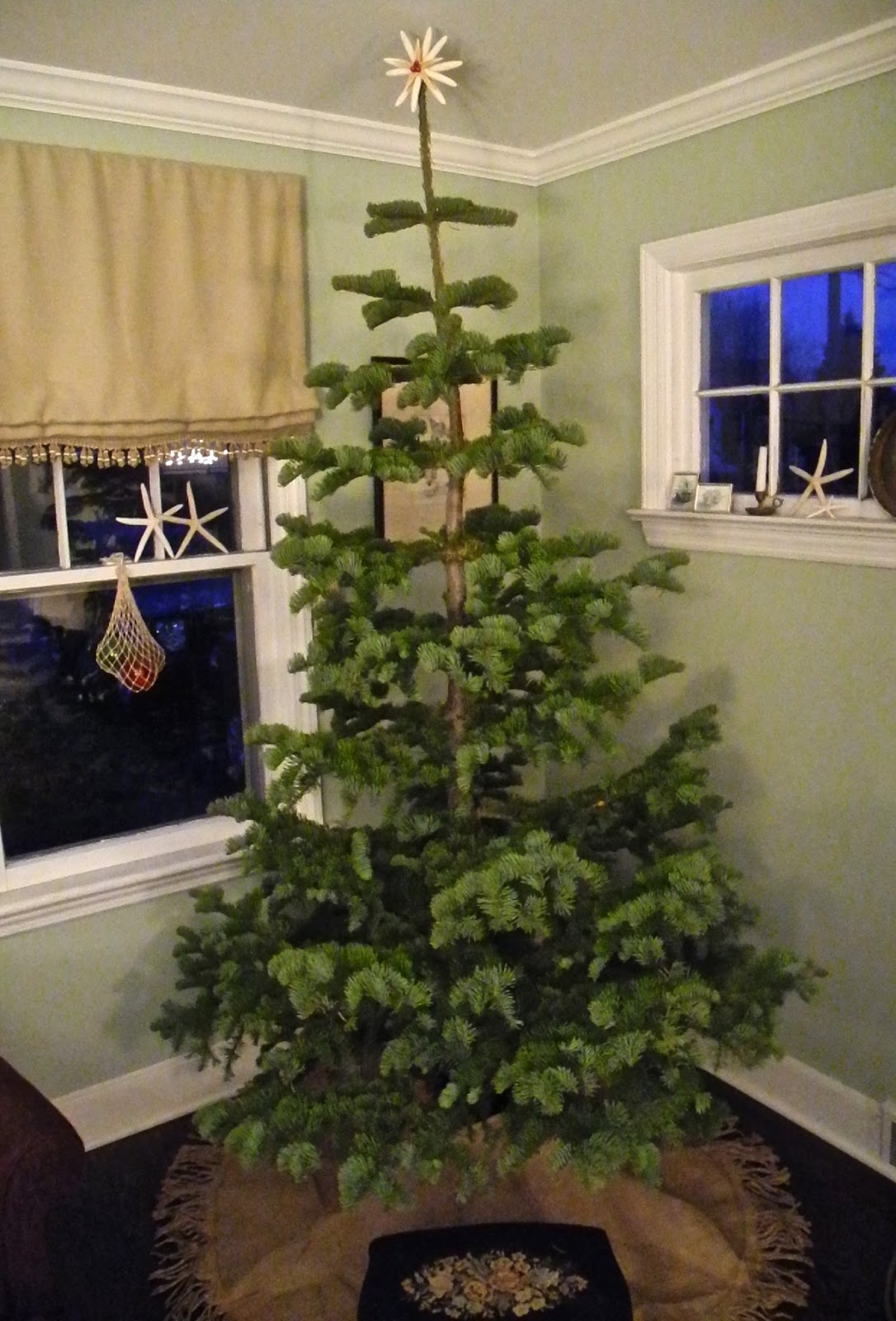 SeaglassSundays: A Silvertip Christmas