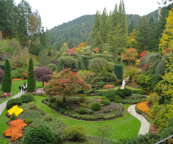 [Image: butchart-gardens-vuon-hoa-xinh-dep-cua-canada-6.jpg]