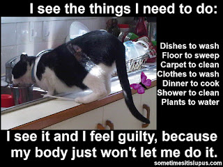 Image Mr Bumpy Cat drinking out of the sink.  Text: I see the things I need to do, dishes to was, floors to sweep, clothes to wash, dinner to cook, shower to clean, plants to water. I see it and I feel guilty because my body just won't let me do it.