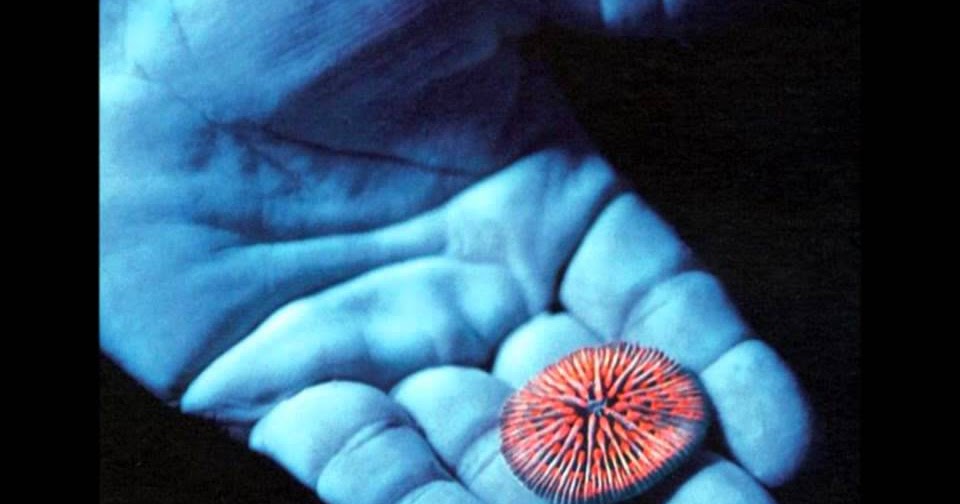 Coldplay The Blue Room [EP] (1999)Finalmente download!Finalmente Download