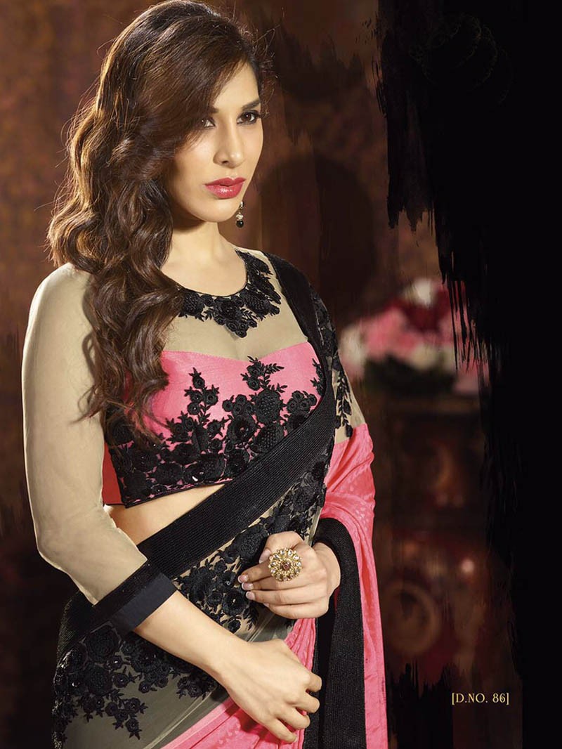 Saree Jacket Blouse Designs 2015 Rldm